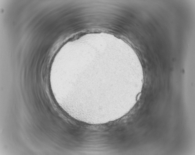 X0000085240241200704092030