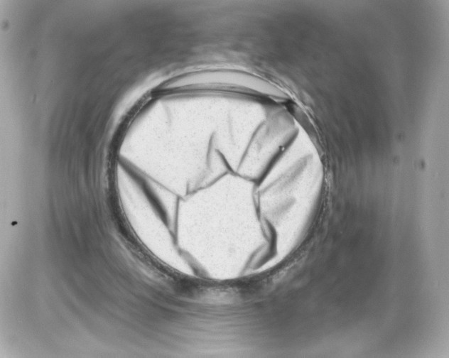 X0000085240248200704092030