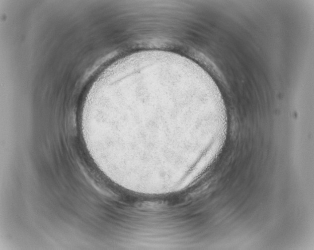 X0000085240251200704092030