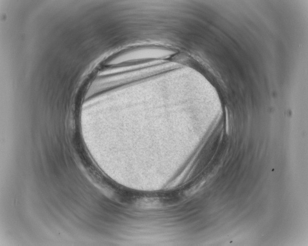 X0000085240252200704092030