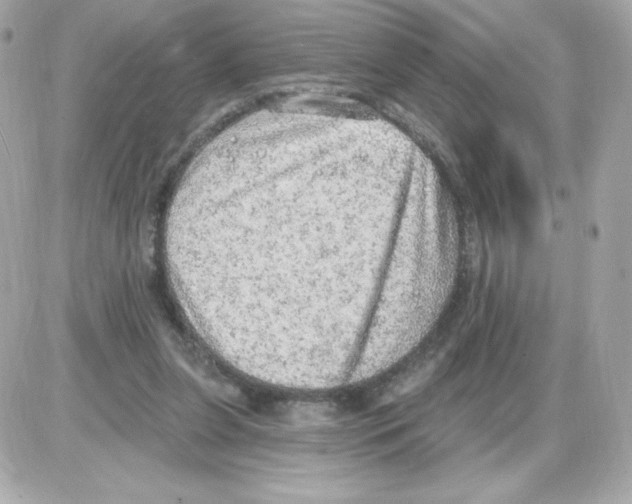 X0000085240255200704092030