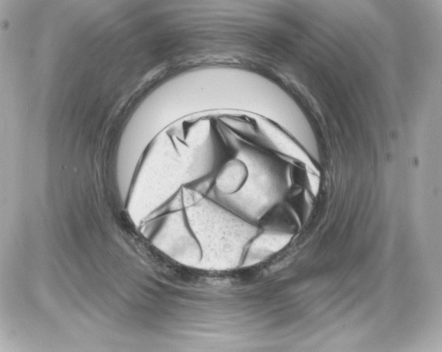 X0000085240260200704092031