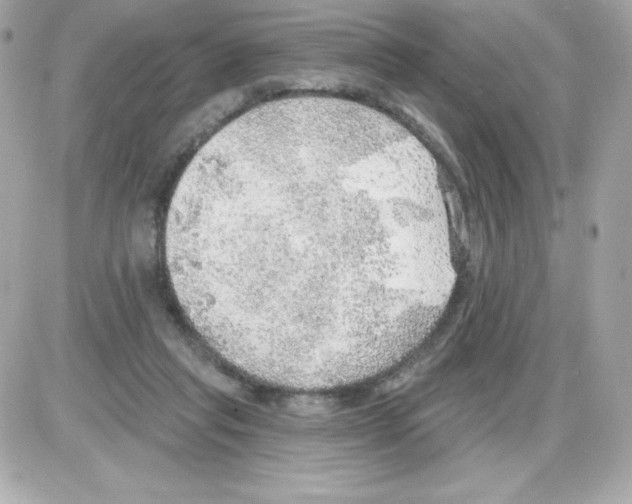 X0000085240261200704092031