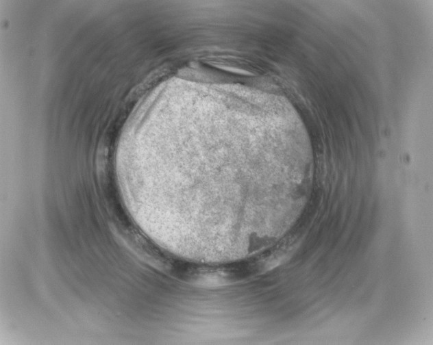 X0000085240263200704092031