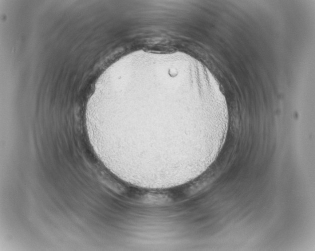 X0000085240270200704092031