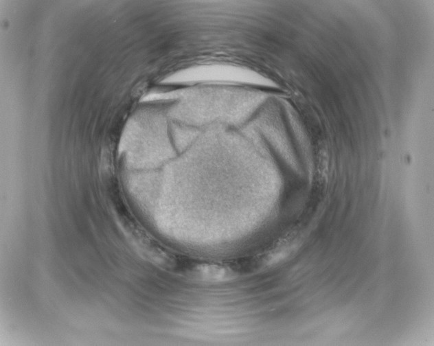 X0000085240272200704092031