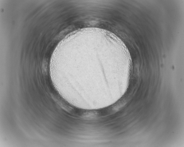 X0000085240274200704092031