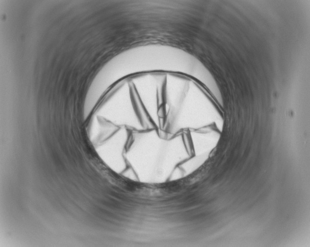 X0000085240276200704092031