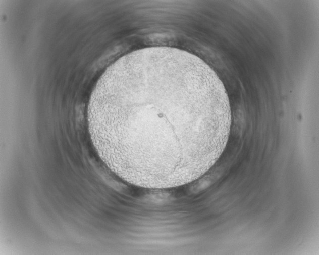 X0000085240278200704092031