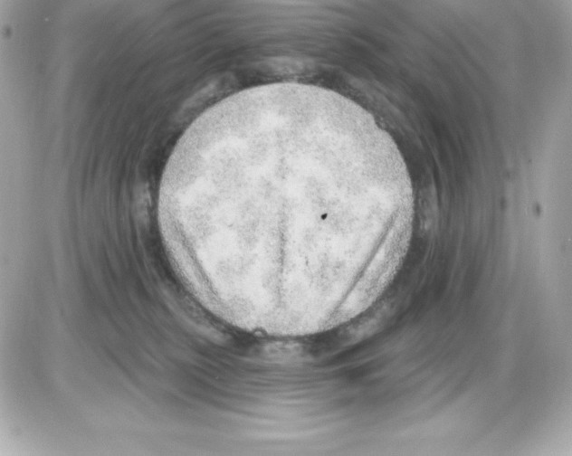 X0000085240279200704092031