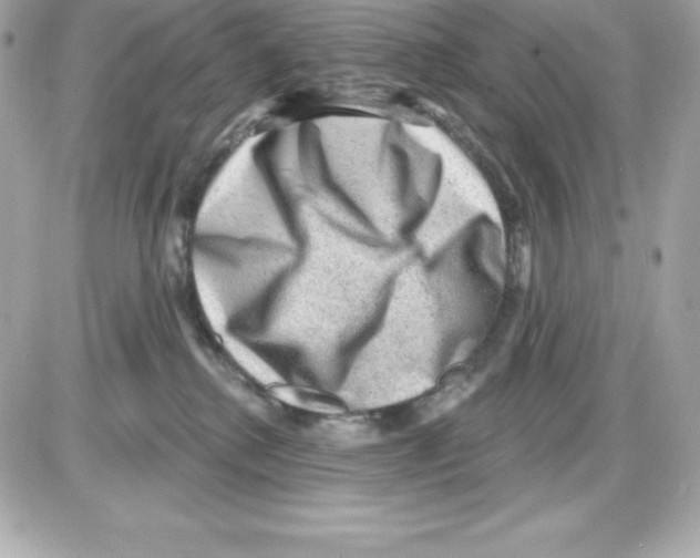 X0000085240280200704092031
