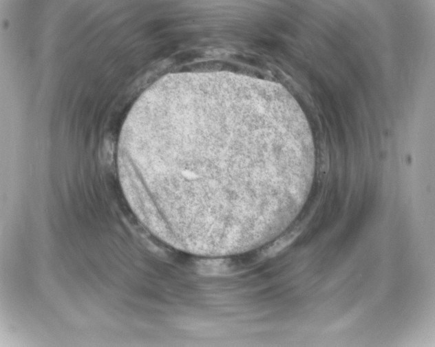 X0000085240281200704092031