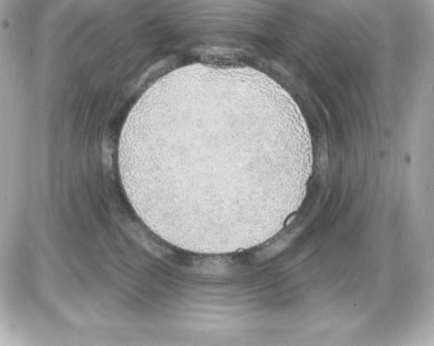 X0000085240282200704092031