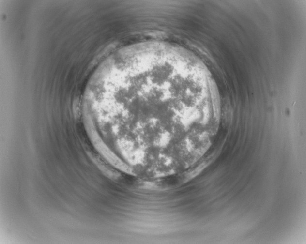 X0000085240285200704092031
