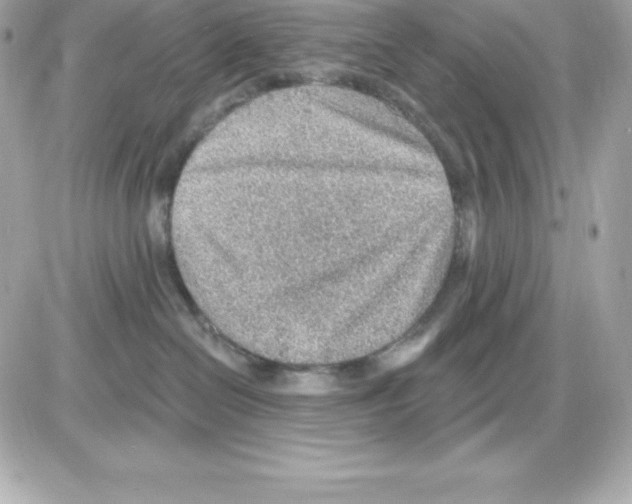 X0000085240286200704092031