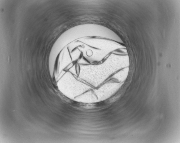 X0000085240288200704092031