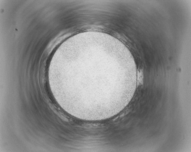 X0000085240291200704092030
