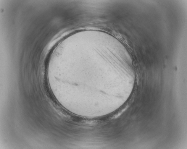 X0000085240295200704092030