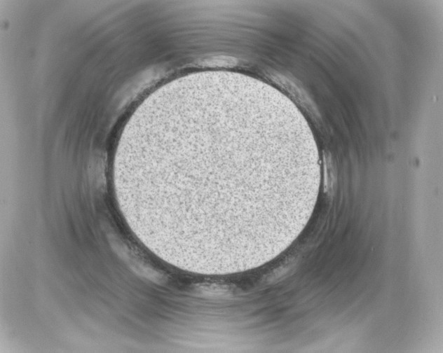 X0000085240300200704092030