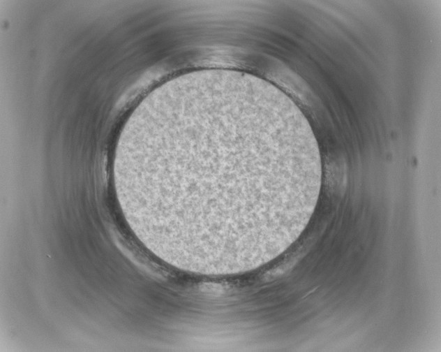 X0000085240302200704092030
