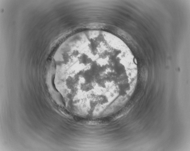 X0000085240303200704092030