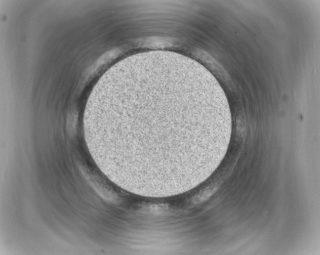 X0000085240304200704092030