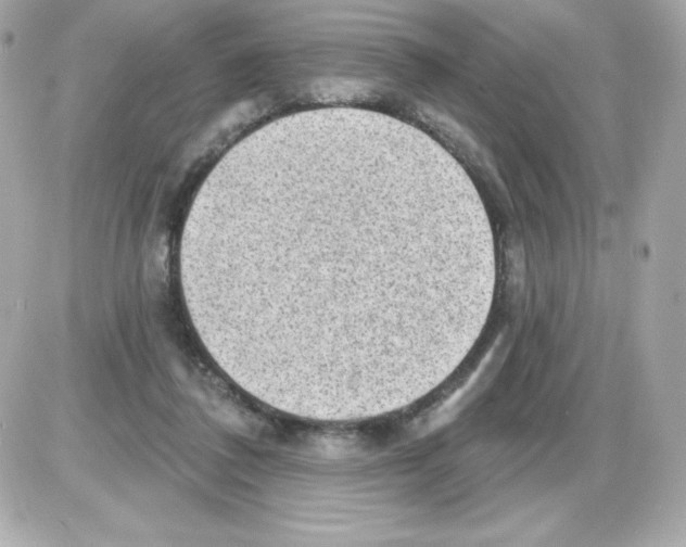 X0000085240308200704092030