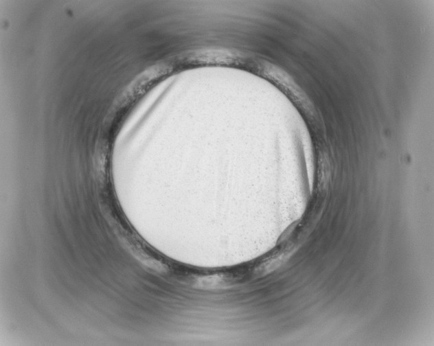 X0000085240309200704092030