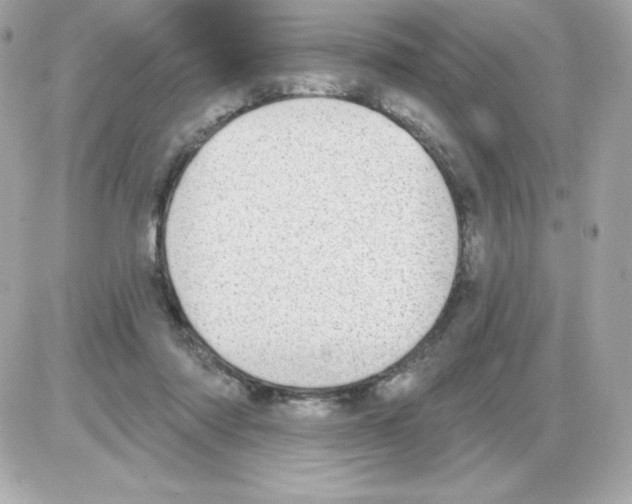 X0000085240310200704092030