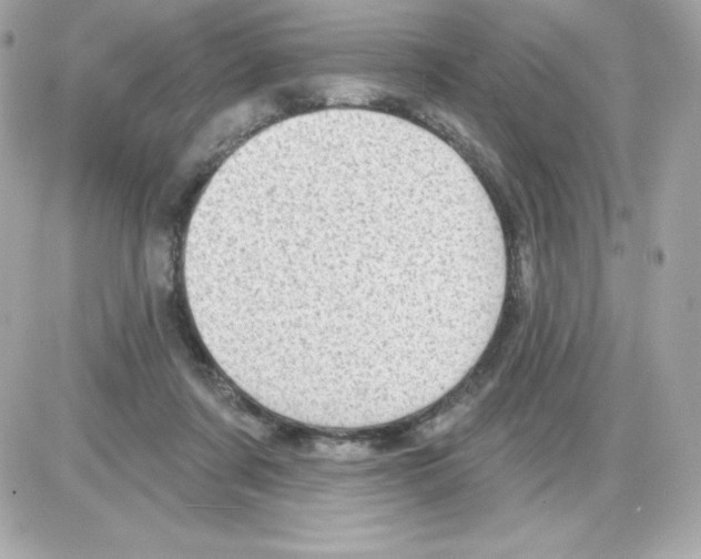 X0000085240311200704092030