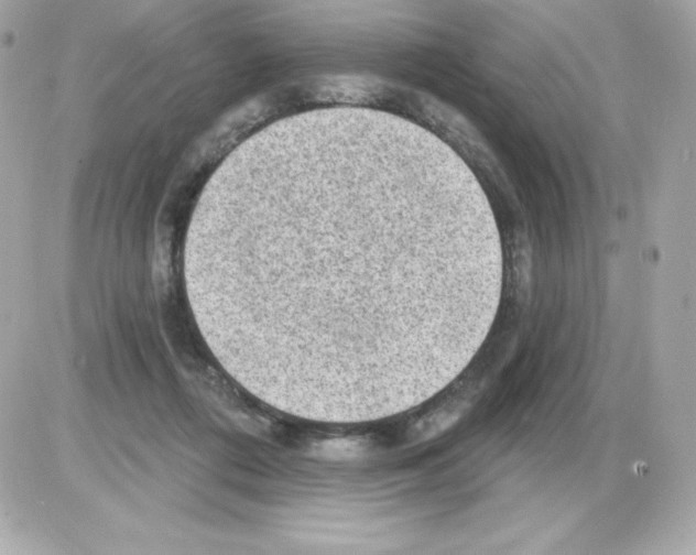 X0000085240312200704092030