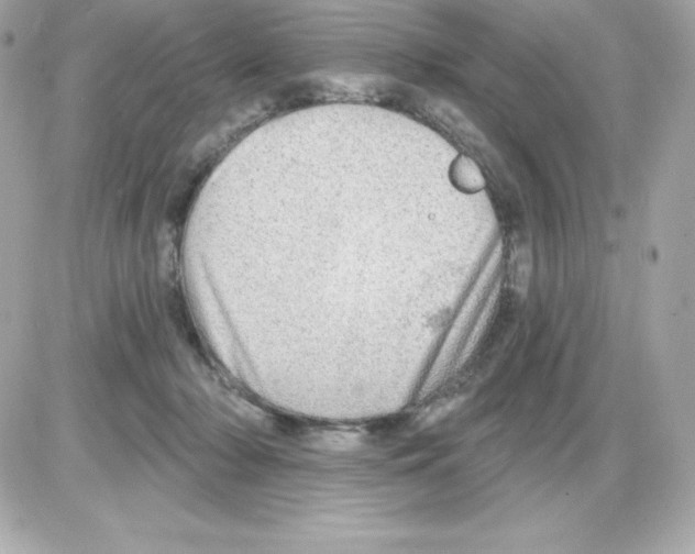 X0000085240318200704092030