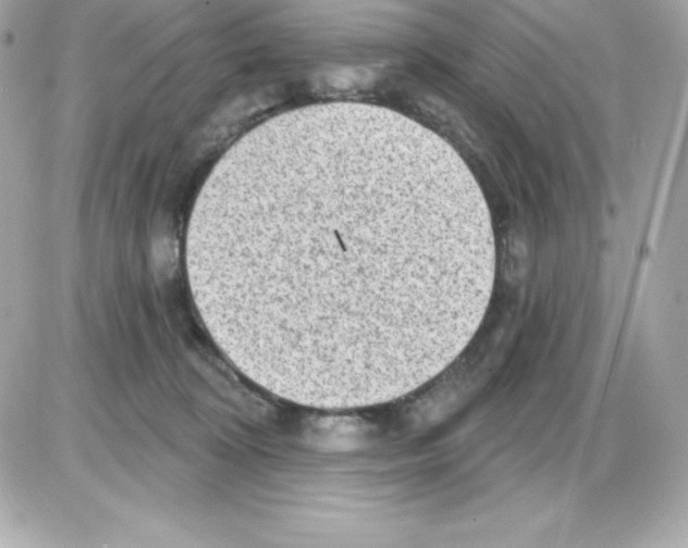 X0000085240324200704092030
