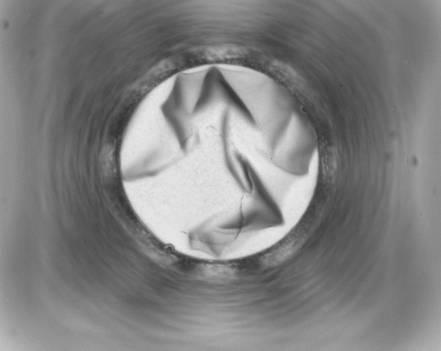 X0000085240327200704092030