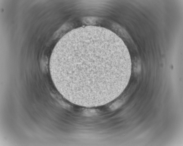 X0000085240332200704092029