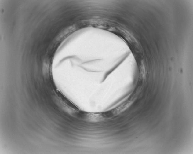 X0000085240333200704092029