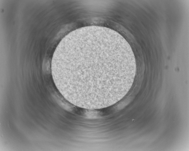 X0000085240336200704092029