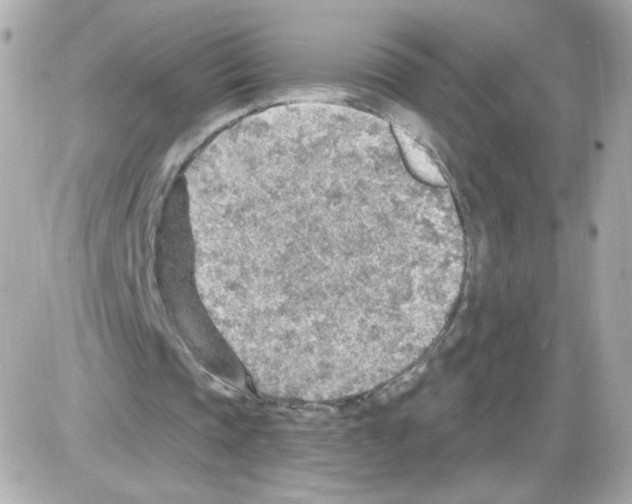 X0000085240337200704092029