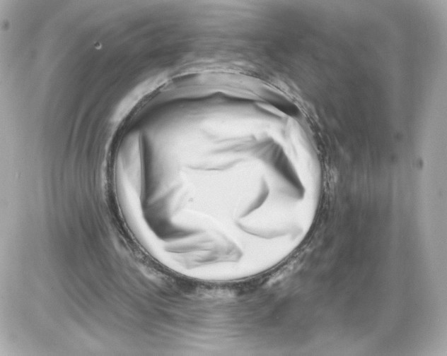 X0000085240340200704092029