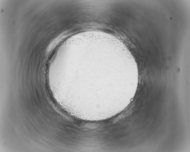 X0000085240341200704092029