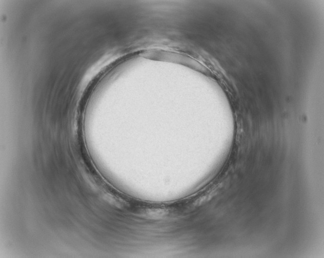 X0000085240344200704092029