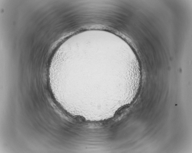 X0000085240345200704092029