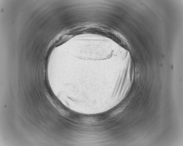 X0000085240349200704092029