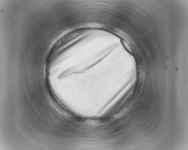 X0000085240350200704092029