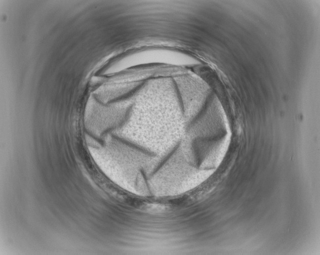 X0000085240352200704092029