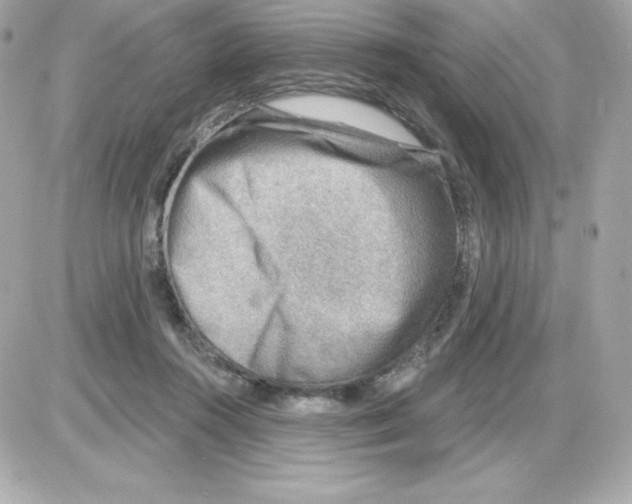 X0000085240360200704092029