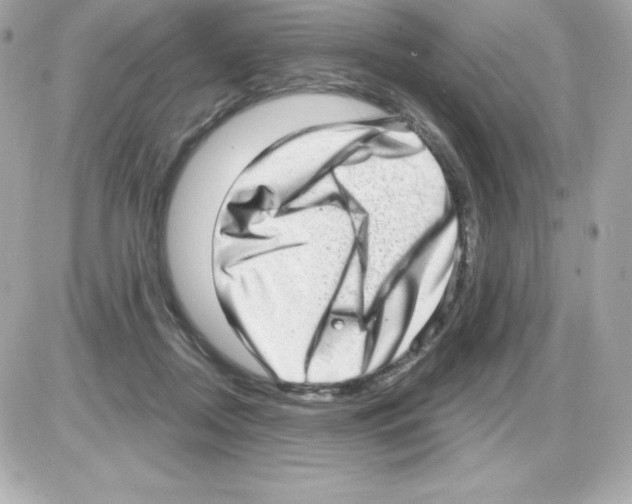 X0000085240362200704092029