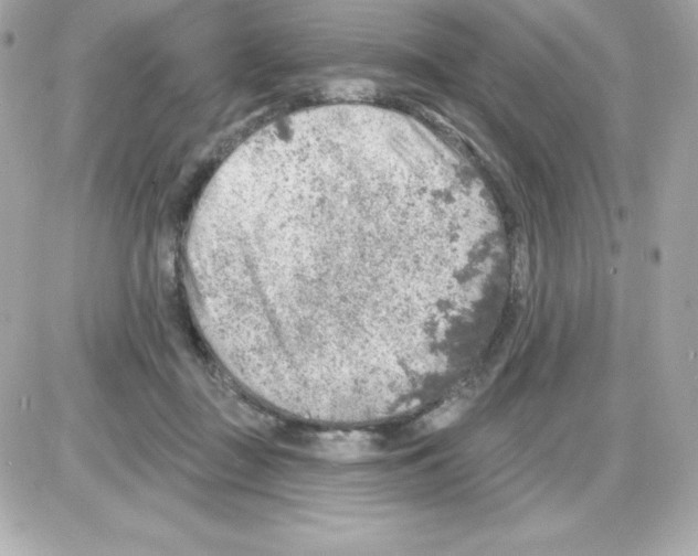 X0000085240363200704092029