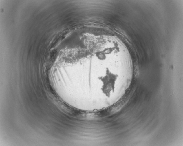 X0000085240365200704092029