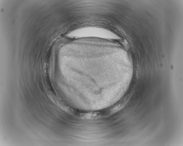 X0000085240366200704092029